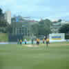 Wellington players celebrate a dismissal