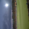 The Eastern End of Westpac Stadium