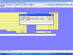 Excel Cricket