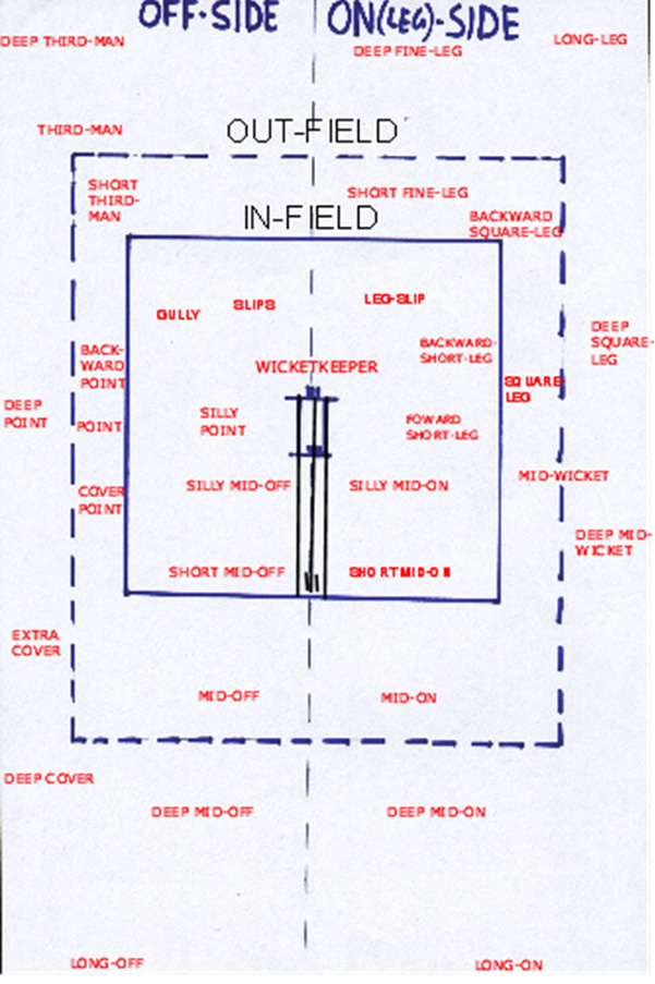 Cricket Fielding Positions