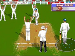 Allan Border Cricket Screenshot