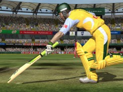 Ashes Cricket 2009 Screenshot