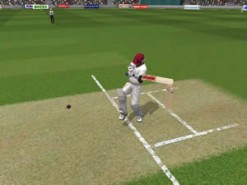 Brian Lara International Cricket 2005 Screenshot