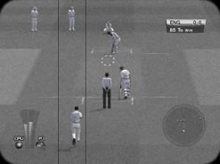 Brian Lara International Cricket 2005 Screenshot