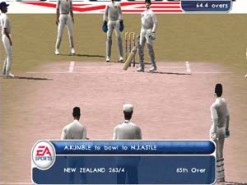 Cricket 2002 Screenshot