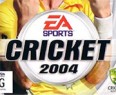 Cricket 2004