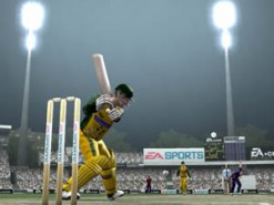 Cricket 2005 Screenshot