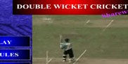 Double Wicket Cricket