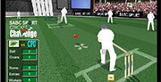 Cricket Craziness